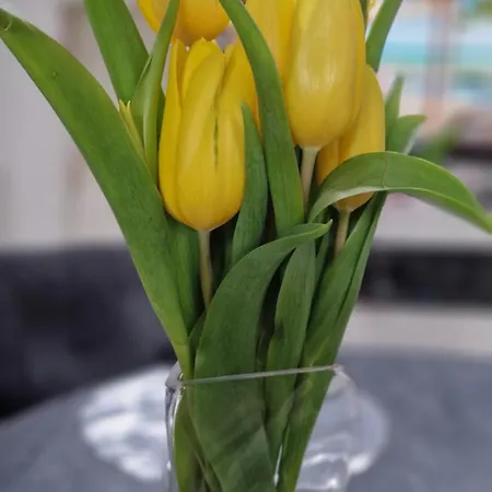 Mergenhofweg * Immenhausen